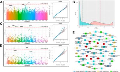 Incorporating genome-wide and transcriptome-wide association studies to identify genetic elements of longissimus dorsi muscle in Huaxi cattle